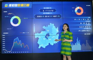 数博会擦亮贵阳大数据名片——专访贵州多彩宝互联网服务副总经理夏杰
